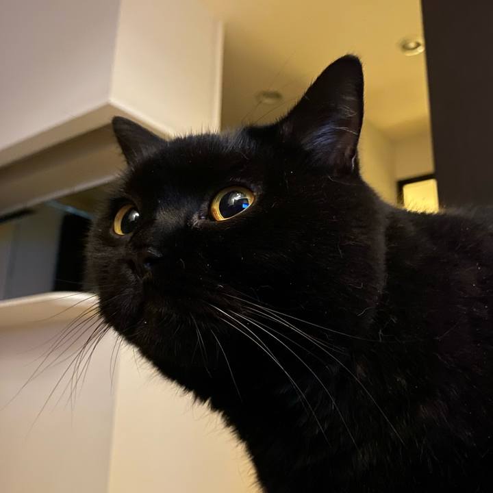 34e8fb71 2863 4f66 9094 5500cb9de9eb 1694350867084