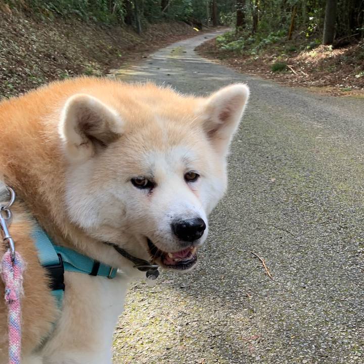 34e90cf4 4ac8 410f b8f5 b67ed51b679e 1577873759249