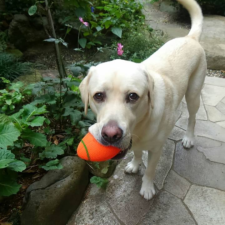 34e9bed1 9675 4978 b8e9 0117c169fb09 1509157821757