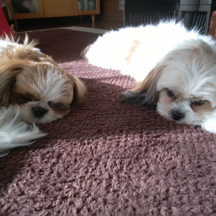 34ea2cdc a784 45c1 a8a6 1ec13e9ad293 1541911350203