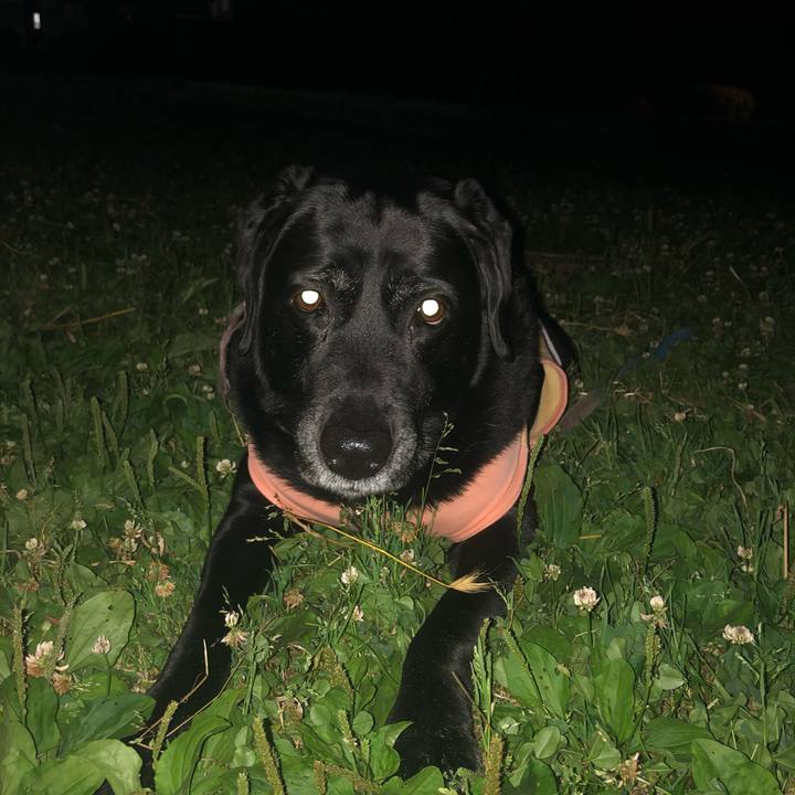 34eaa74e 19d3 4d42 a29f 8e7b37e1ed25 1559649345806