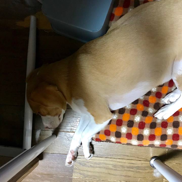 34ead1a2 ba4a 41ac 9353 7d8bab672db5 1538912436992