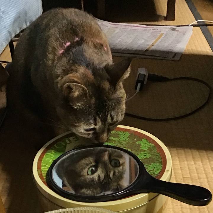 34eb08af 1246 4dd3 b0fd 529a44263511 1731229208181