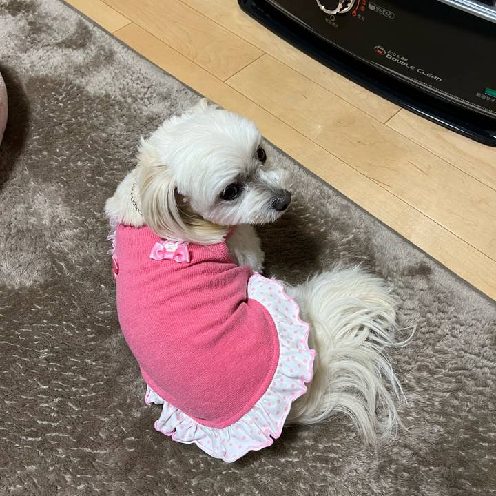 34eb18a3 1d1e 4273 9206 bcfa74c09bbd 1700989182436