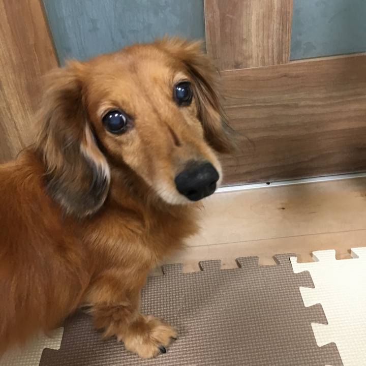 34eb24f9 85fb 42d4 bb02 86e8453e3ea5 1569504957525