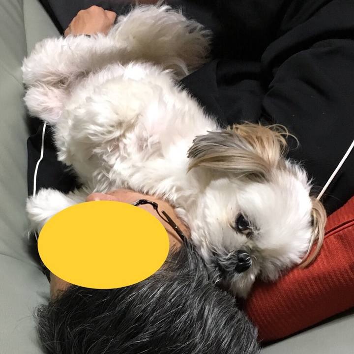 34eb290b 247c 4236 9b10 7295710dcbd3 1541122207149