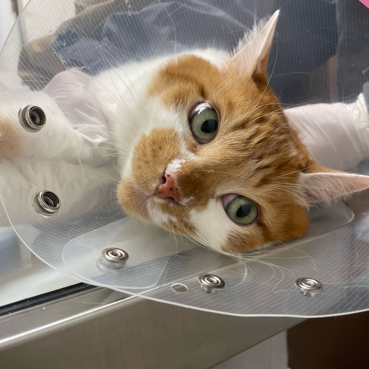 34eb66d9 2981 4bff b19d afad68a4740b 1731911372478