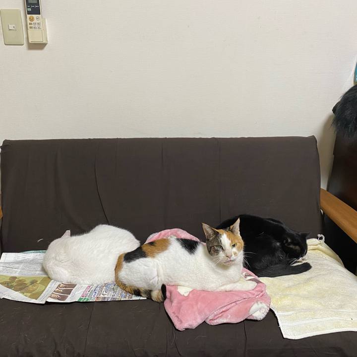 34ebd0c6 bd77 47b5 8a09 88cc437d8e6c 1696481362433