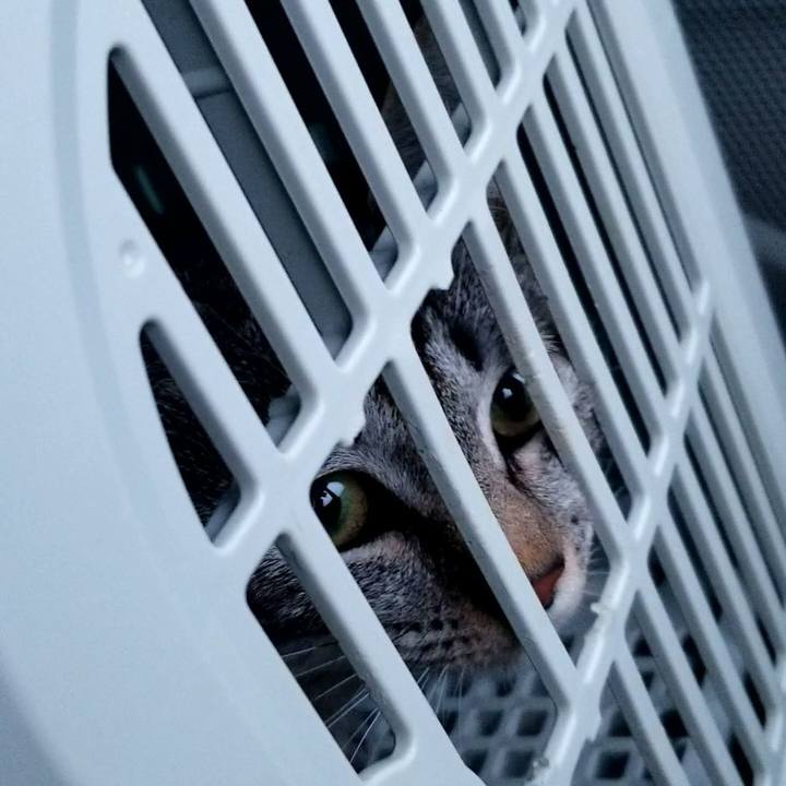 34ebd131 dfc9 4b16 a69f 4ec4385db086 1675822531176