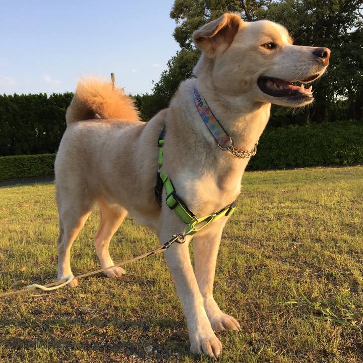 34ec8ac8 3a41 401b 89a8 8380aa049ac8 1525424544670