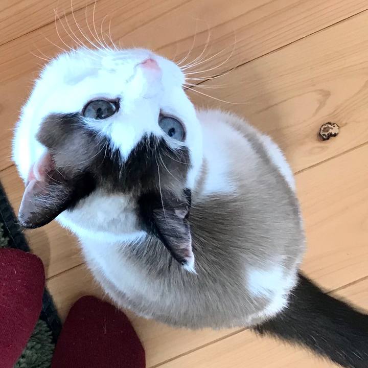 34ec9584 0d0c 4d13 a7df 15cceb0c2fea 1582981540002