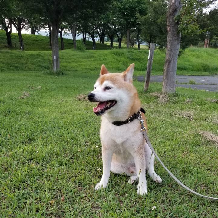 34ec9cf0 669a 48ce b157 4d44853cab50 1627896057452