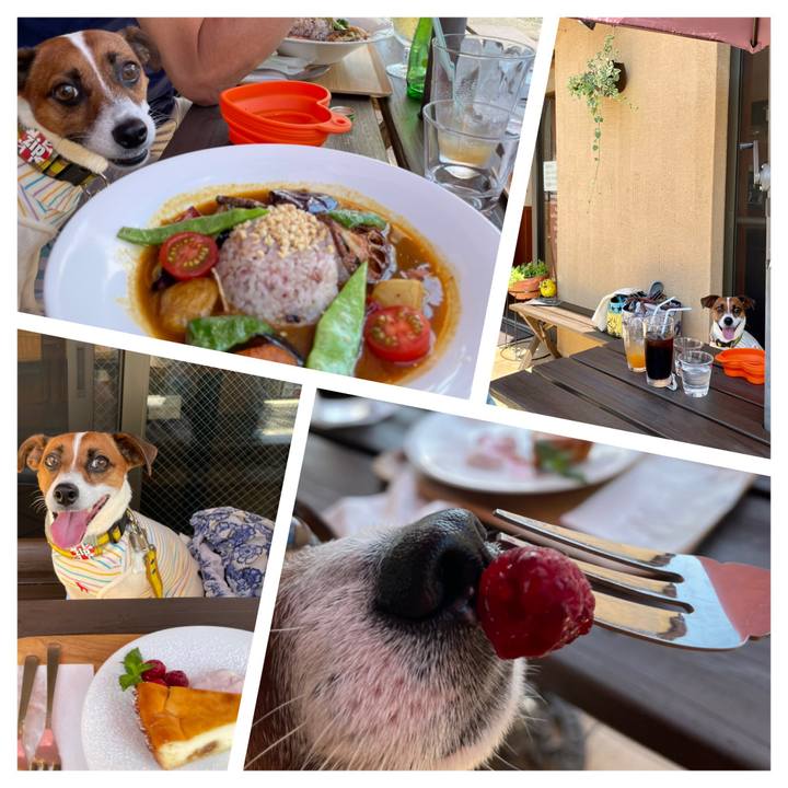 34ed2951 6727 44d4 b831 27f48a0a7e02 1627212115642