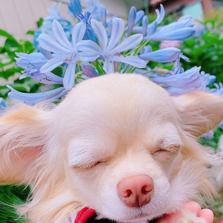 34ed496e 168d 402f bf1c 72730b25d84b 1624618371962