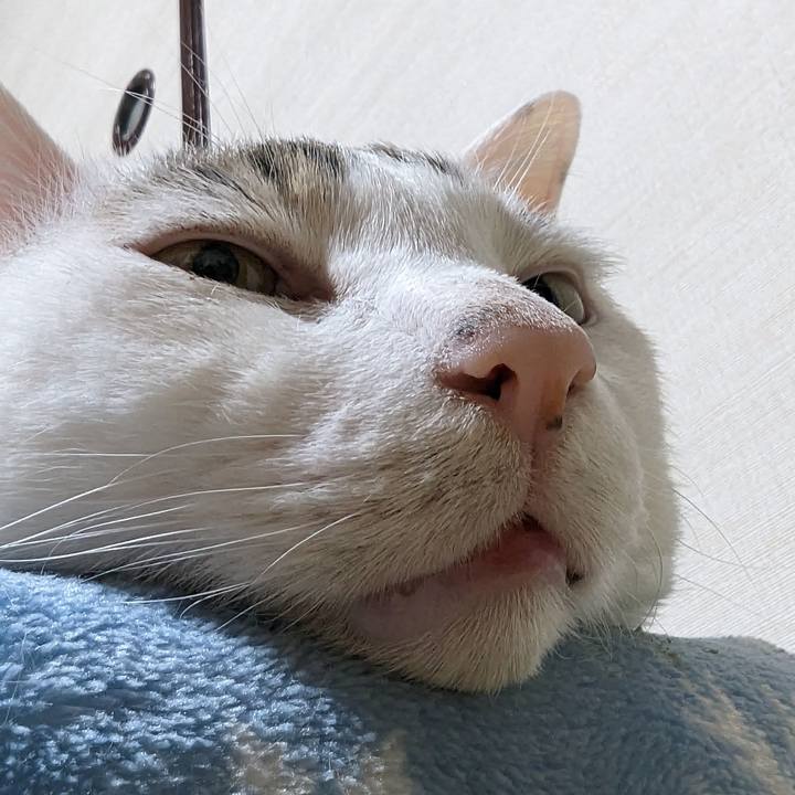 34edcf23 f58f 4b0e b4e7 85d7ca42784a 1680620202822