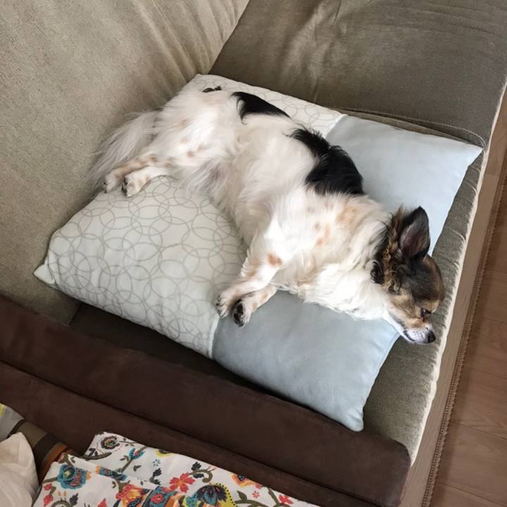 34edda8b 528e 45b5 a0a1 24000c3636c9 1558738050587