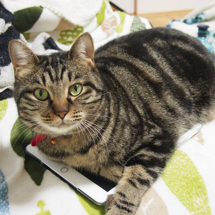 34edefda 9e21 4a5e bc6a ff1a344d4bb4 1581310364371