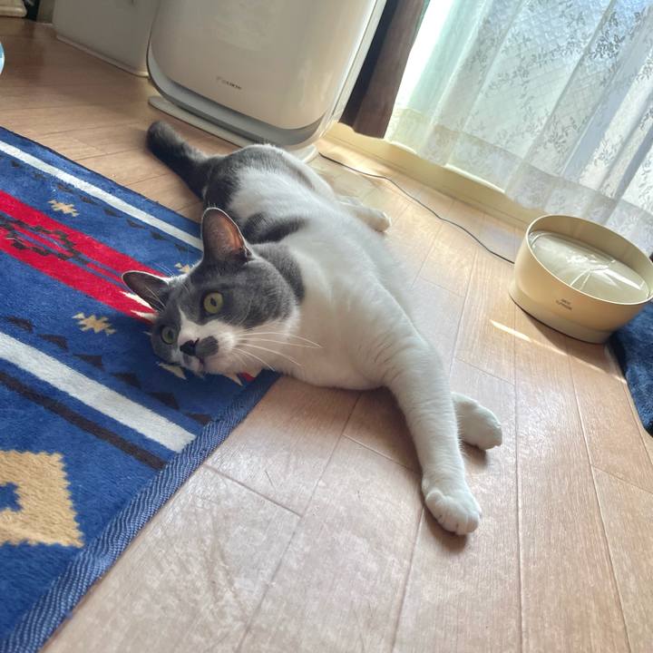 34ee304b dbbf 4d24 9444 e75e9e127deb 1663981302313