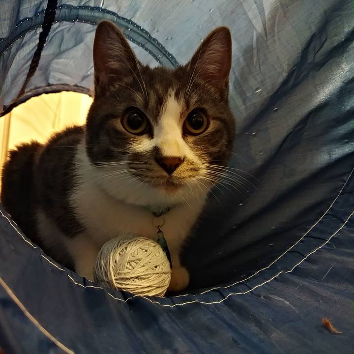 34ee357b 1cd1 42d1 b2eb 70b80c7b51e6 1578398832370