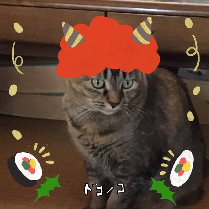 34ee465c 9761 4991 87c0 a4701e152536 1706935460800