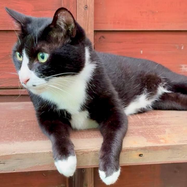 34ee81e0 e0da 4d14 b890 a76af9704d17 1754532544703