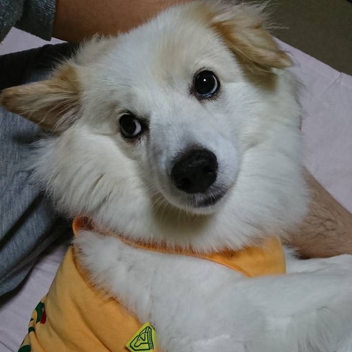 34ee8e23 dc09 4d25 8ed6 1a167a6f99ae 1536930580796