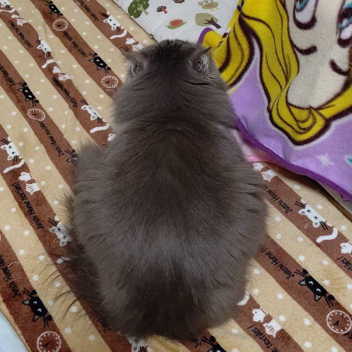 34ee975a f851 49b8 bfa5 e3a1dcb8c570 1615889108902