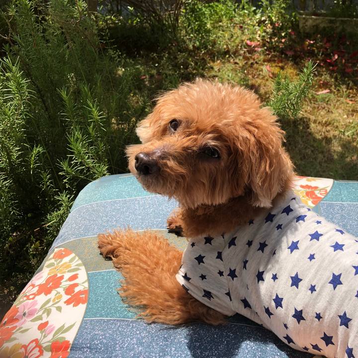 34eea7f8 e3a2 4e3a 842e b9e2c787b052 1589332788589