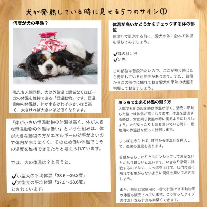 34eeb6fb 61a4 489f b626 2b4fa8e8b975 1525830235463