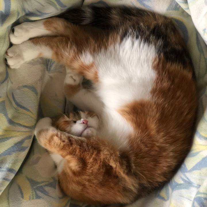 34eecc06 8f8d 41d3 b508 54f713a05f88 1521879261250