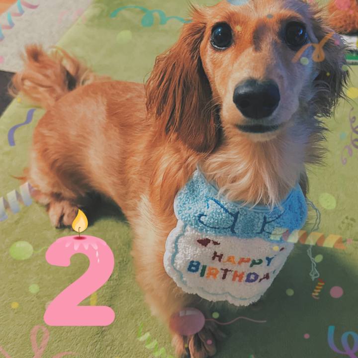 34eecfbe f01f 4206 82ea d31549bc8ca2 1721121524514