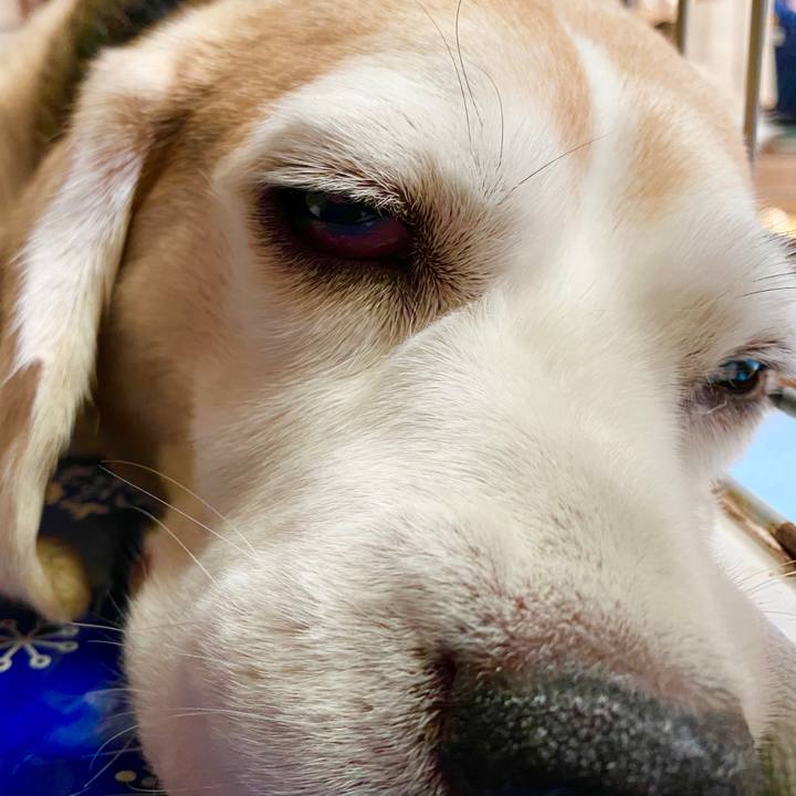 34ef3828 2b16 4e1f 8ed2 bc8ca0163f25 1596857812715