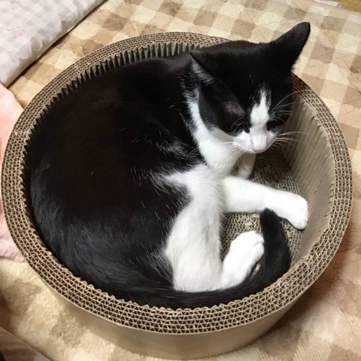 34ef5a7e 87bb 4e14 bf32 70d761673471 1699183467210