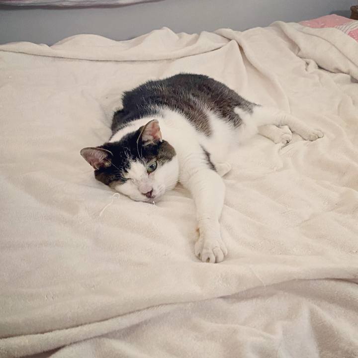 34ef5fc7 131c 4a97 8743 dcaaa869c413 1624355669961