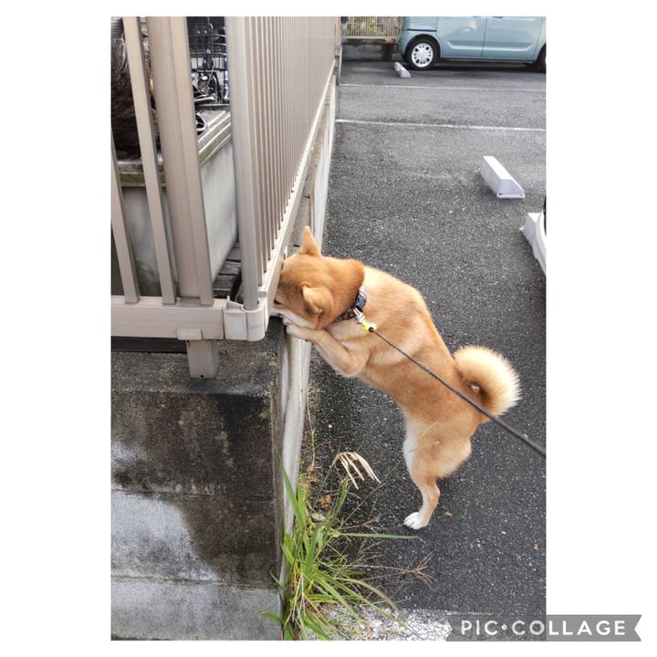 34ef6711 2553 4c0b a3d0 7c590983d63a 1698446889767