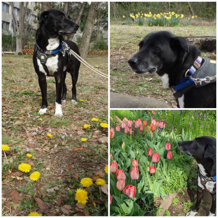 34ef789e d9f4 456b 8275 f5904f435898 1648601137112