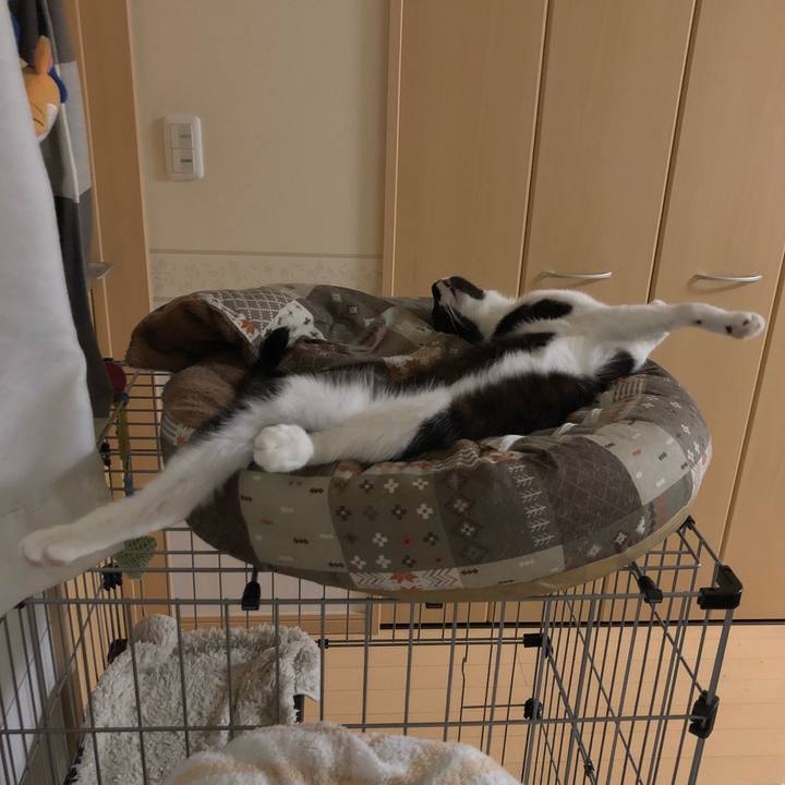 34ef857f d1f7 45dc 86ed 79e1faf993c2 1532897378960