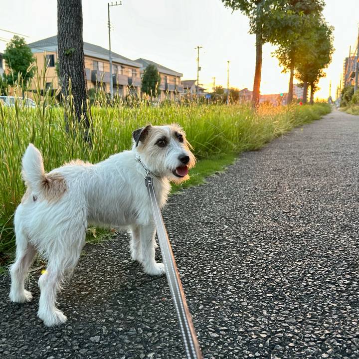 34ef8aa0 4ffc 49e1 b001 83fe28c8c5c5 1726650544852