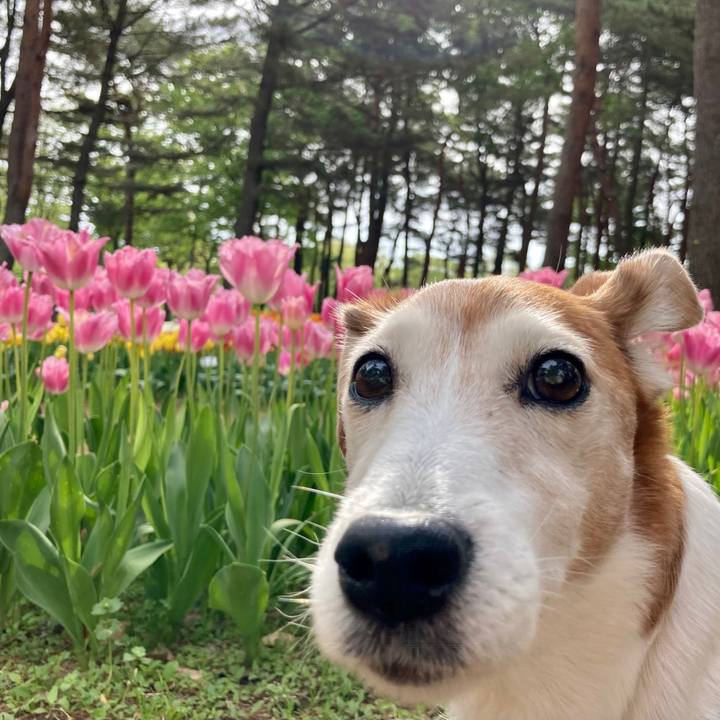 34ef8bf1 5b33 4146 9a8a b121e4491802 1619582354774