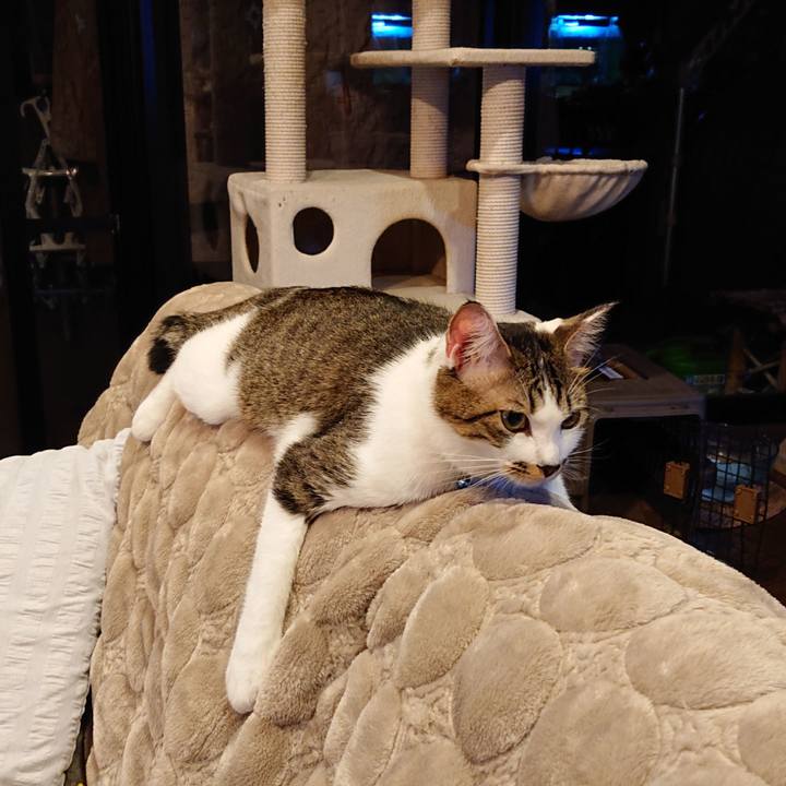 34efb22b c85f 4a75 afee 6455406e40f9 1571964915173