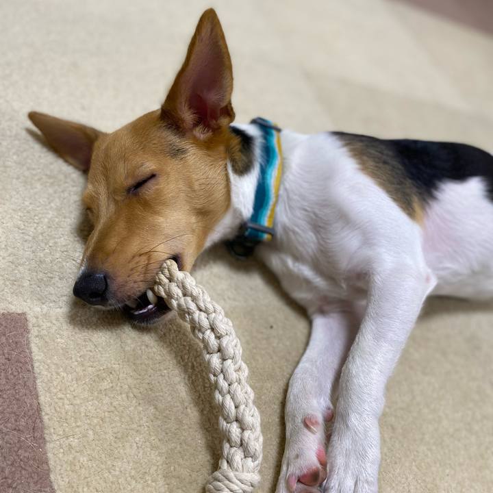 34efc4ae 04b0 42ef a286 b50ede4b6646 1760360088070