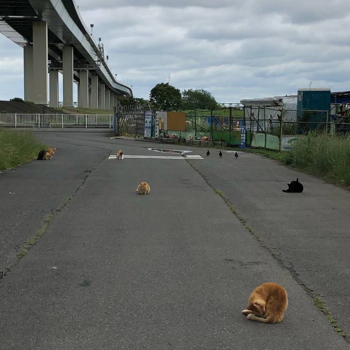 34efcd68 a468 4ab0 82e5 ea76fc6ba933 1525953275246