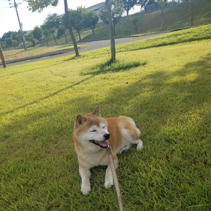 34efd0df 891d 467f a002 6a30cecaad45 1693121661830