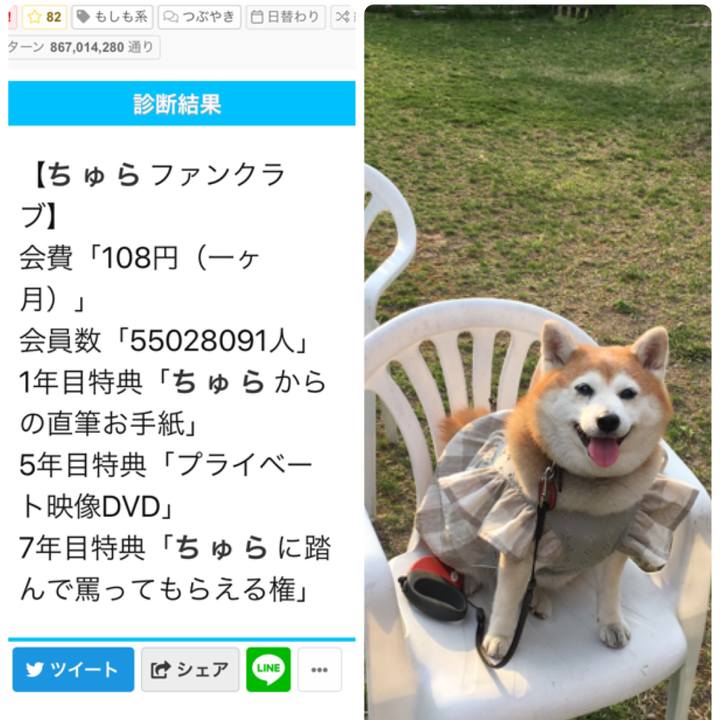 34efdd4b 7d2a 44fa 8226 d94327386117 1568604594164