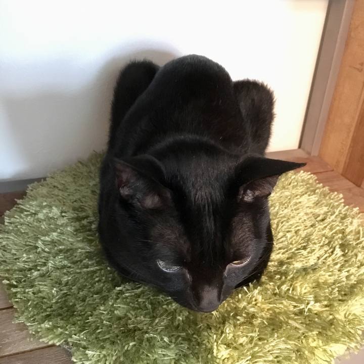 34efe14b 029c 4ea5 b1d3 0ae47a1518a8 1567312690455