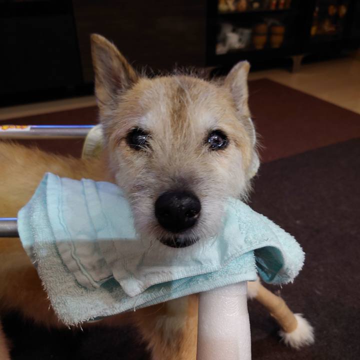 34efe34c ed38 4ebd a72b 3e58ab94cd89 1661263274201