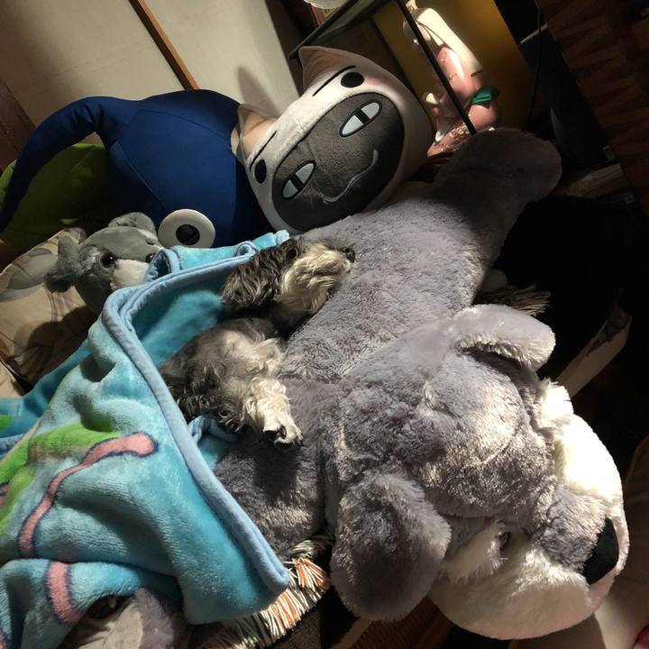 34f034d1 210d 4c12 ae73 4199bbc16b7c 1539173976367