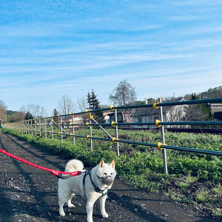 34f03677 02d1 45da 8d92 ab22c82ff64e 1746998453086