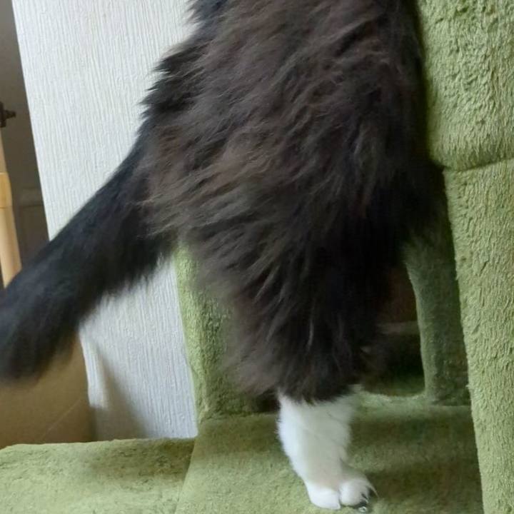 34f03b80 2f29 4cfa adab bbb252d6e142 1698722308424