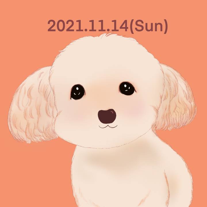 34f03b9f c576 4bd9 b0f9 82ae0aee6e75 1636892265110